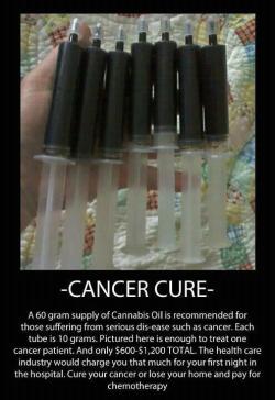 mystonerlife:  happensfora-reason:  can we PLEASE spread this around tumblr!? the medical field is so fucked up!  RSO is a GREAT way to medicate for people who have any terminal/extreme pain disease. But RSO that’s high in CBD is pure gold for these