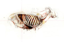 nunziopaci:  Nunzio PaciTitle: Goat man pregnant / Uomo caprone gravidoDim: cm 50x70 Tecnique: mixed media on paper / tecnica mista su cartaYear: 2012