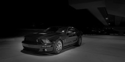 ford-mustang-generation:  Gt500 by Meyercord©