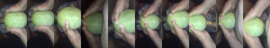 gioshane:  Cantaloupe Sex