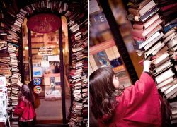 Bubbleant:  Sanamivera: The Entrance Of The Bookstore Le         Bal Des Ardents