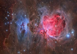 johncody: Great Orion Nebulae Wow that’s beautiful.