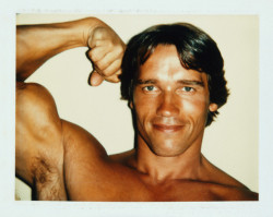 Arnold Schwarzenegger polaroid by Andy Warhol, 1977
