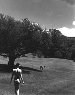 Alicia and Doe, Heidi&rsquo;s Field photo: George Holz, 1998