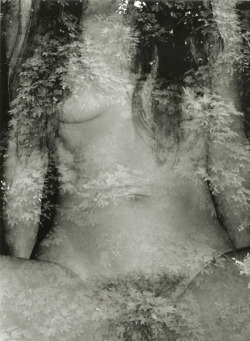 nothing-but-vices:  ignacioararipe:  billyjane:  Marcel Marien - The Friendly Wood, Female Nude [Double-Exposure], 1980s  (via billyjane) 