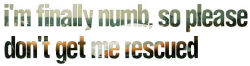 wordgraphics:  “Rescued” by Jack’s