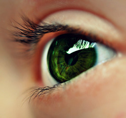 blatino:  aplaceforfeli:  (via loveyourchaos)   That&rsquo;s a beautiful green.