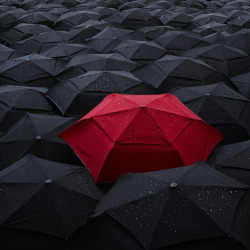 thecolorsofmymind:  Stand out in the crowd