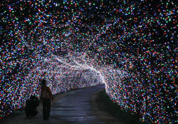 fuckyeaheyegasms:  4.5 million LEDs Dazzle at Japan Winter Light Show …4.5 million LEDs lit up the Nabana no Sato theme park of Kuwana, Japan, kicking off their annual Winter Light Show that runs until March 8th. This year’s(2008) theme is one of