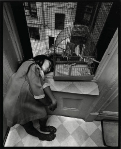 Untitled, East 100th Street (Young Girl in Bird Cage) photo by Bruce Davidson, 1966-68