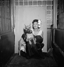 fuckyeahdogs:   ghostofashark:   1947 [02] Billie Holiday with her pet boxer, Mister at The Downbeat (Jazz Club) West 52nd Street (via straatis)     So badass.