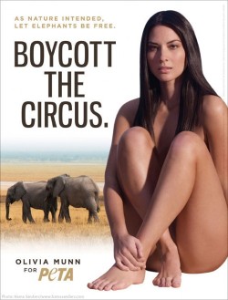 florencio:  Olivia Munn Shows Off Her Killer Figure For PETA (PHOTO) « F-Listed 