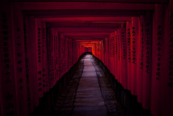 Fuckyeaheyegasms:  The Journey - Fushimi Inari Shrine, Kyoto (By Sushicam) 
