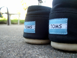 got some TOMS recently, i want more already, Lolz.