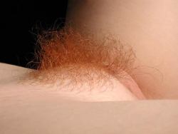 No-Panty:  Scooph:  Coven13:  Tag Example For A Close-Up Photograph Of A Yoni And