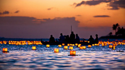 danielholter:  Lantern Floating Hawaii Ceremony (2010) (by Rex Maximilian) This is the 12th annual lantern floating ceremony in Honolulu done over Memorial Day at Ala Moana Beach Park at dusk. It started as a small affair in 1999 by the local Japanese