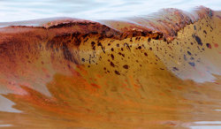 proto-jp:  rusaman:  kml:  kiyo:  roomthily:  Orange Beach, Alabama (90 miles from the BP oil spill), Dave Martin/AP via guardian.co.uk      