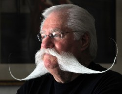 dailyme:  Larry McClure and his 31-inch wide moustache hold distinction as the winner of the first-ever National Beard and Moustache Championships, taking first place in the Best Moustache division.  what glorious facial hair. if I was a dude, this would