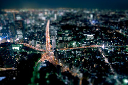 Tokyo at Night Taken from Tokyo Tower More