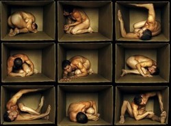 naked in a box