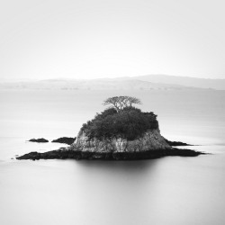 black-and-white:  Lone tree island (by Kanaka Menehune)   żyjemy na archipelagach  a ta woda te słowa  cóż mogą cóż mogą książę  