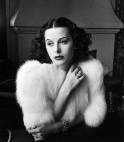 aristocratic-elegance:  sarahscarlett:  historiful:  Actress Hedy Lamarr (1913-2000), date unknown.   