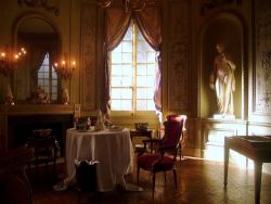 laudanumandarsenic:  alysian-fields:Room from the Hotel de Saint-Marc, Bordeaux 