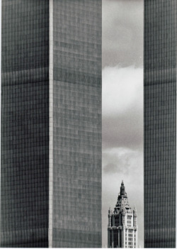 artemisdreaming:  World Trade Center and Woolworth Building, New York City Jersey JJ via: flickr.com 