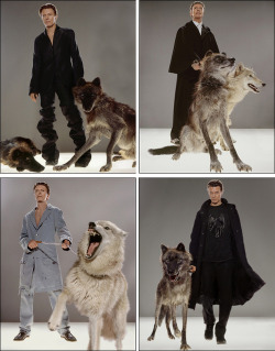 absurdical:  WE PAUSE TODAY TO BRING YOU DAVID BOWIE AND SOME MOTHERFUCKING WOLVES 