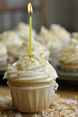 onlycupcakes:  Coconut cream cupcakes by