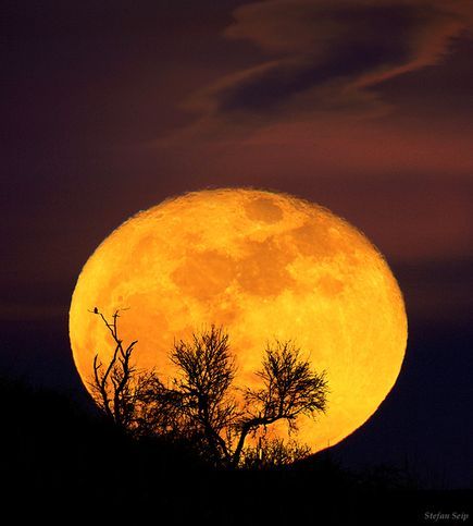itsfullofstars:  (via nationalgeographicdaily)   Full Moon RisingPhoto: Stefan Seip