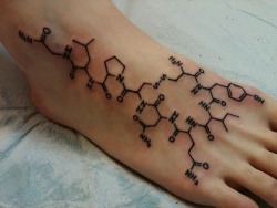 carloscoreas:  An oxytocin molecule, the