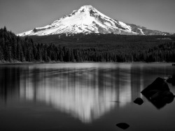 black-and-white:  Mt. Hood &amp; Trillium Lake (by Eric__) 