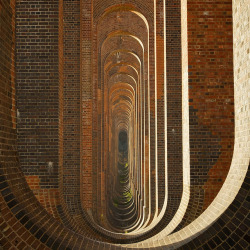 Fuckyeaheyegasms:  Ouse Valley Viaduct (By Santos2046) 