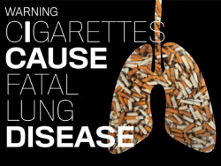 carlovely:  the FDA has issued a proposed rule that will require new textual warnings on cigarette packages (much like in canada), accompanied by color graphics showing the negative health and social consequences associated with smoking. the new graphics