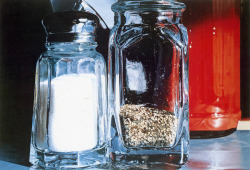Salt and Pepper oil on canvas by Ralph Goings, 1983