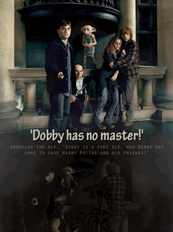 dasmasmorras:  Dobby has NO MASTER! Dobby is a free elf, and Dobby has come to save Harry Potter and his friends! 