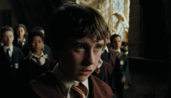 hogwarts-express:  this is the cutest photo of Neville . Every time i see this scene i want to sayawwe come to mama &lt;3   