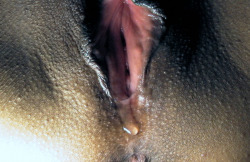 dripping-wet-pussies:  A good drip  This pussy looks about as good and ready for fuck as it gets! Â Beautiful clear drip of pussy juice&hellip;the kind you get after playing gently with the clitoris for a while&hellip;Mmmmmm!