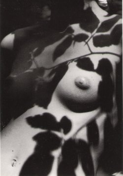 firsttimeuser:  Philippe Pache. ”Le feuillage”. 1991 via 