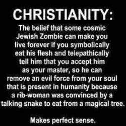 If I offend anyone&hellip; well&hellip; um&hellip; everything stated there is exactly what Christians believe, so then you are offended by Christianity. I&rsquo;m just the messenger. Actually, just the re-messenger.