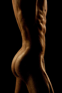 nudeforjoy:  Male torso 