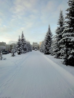 Oulun Yliopisto, Finland, Oulu, 2011