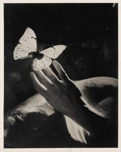 crashinglybeautiful: Peter Rose Pulham, Three Surrealist Studies with Hands and Butterflies (1910-1956), 1930s [Source: Sotheby’s] Pilfered from the extraordinary, Memory Green.  