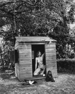 Domestic Nude 7  photo by Helmut Newton, LA 1992