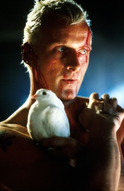 Anotherword:  Rutger Hauer As Roy Batty In Blade Runner. Gorg:  Piccsy :: Image Bookmarking