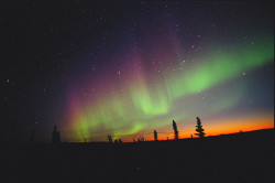 atomos:  Aurora at Dawn (by David Cartier,