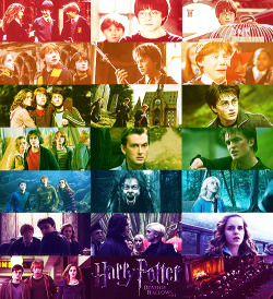  Harry Potter years 1-7 