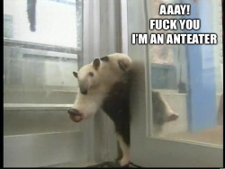 Once again, I am forever convinced that all anteaters do is strike posses like this and swoosh around in their anteaterness.