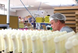 coryruinseverything:  amidirkjakeyet:  thisisnotmyfairytaleendingg:  Just another day at the dildo factory. Jobs that you forget actually exist.  must be hard  That guy looks so down in the mouth, he should keep a STIFF upper lip.  